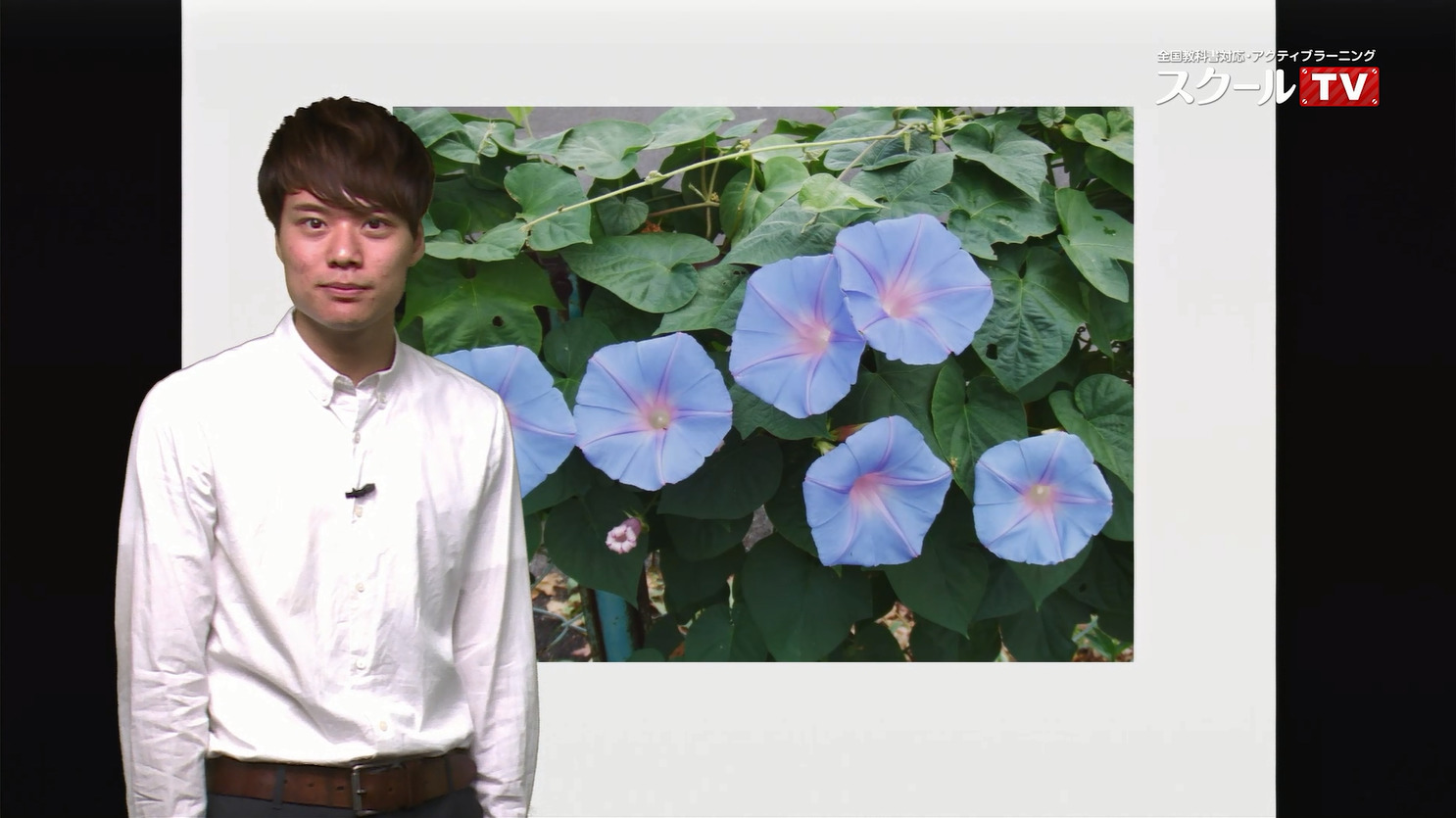 動画で学習 ５ 花のつくりと実 その１ 理科